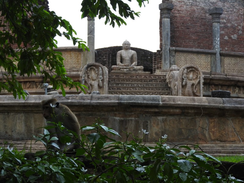 22 Polonnaruwa